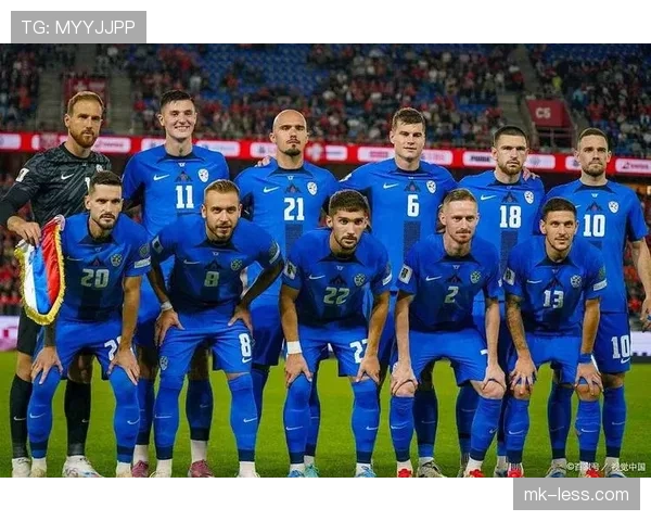 波黑冲击2026世界杯：晋级前景与阵容分析
